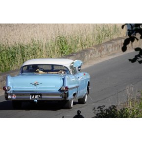 Gavn Classic Autojumble 2023