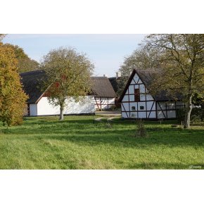 Skovriddergrden Petersvrft