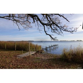 Stemning en November dag 2024