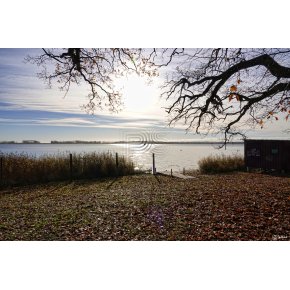 Stemning en November dag 2024