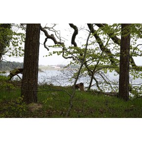 Stemning ved Petersvrft - udsigt mod Lang