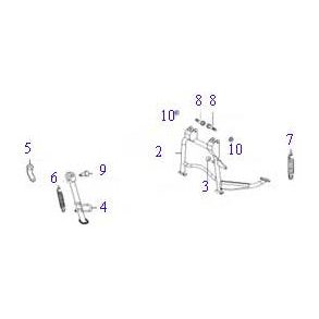 Sidestttebens fjeder