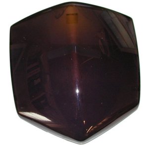 Gitter ved forlygteglas front fairing