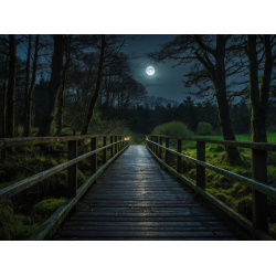 Aftenstemning ved broen