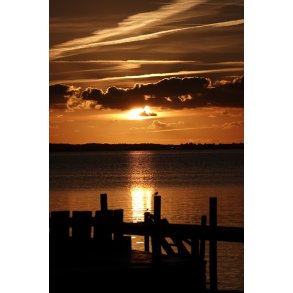 Morgen stemning - efterr