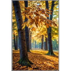 Efterr og blade falder