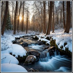 Vandlbet ved Bgetrerne