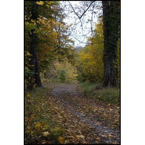 Efterrs stemning i november