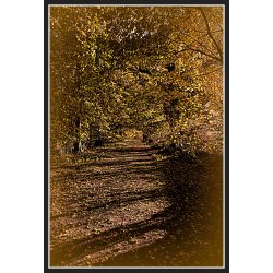 Efterrs stemning i oktober