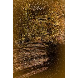 Efterrs stemning i oktober