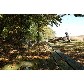 Lvfald p det gamle bord