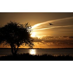 Solopgangen ved Balle havn