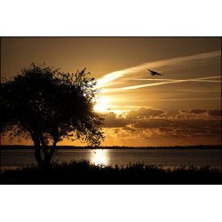 Solopgangen ved Balle havn