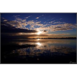 Gylden November morgen