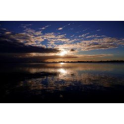 Gylden November morgen