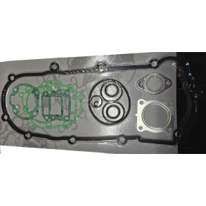 Motor pakningss�t PGO Comet