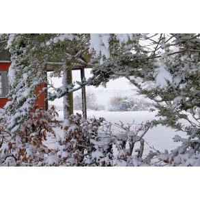 Vinterstemning ved den gamle skovridderbolig