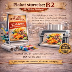Plakatprint B2 (50,0 x 70,0 cm)