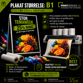 Plakatprint B1 (70,0 x 100,0 cm)