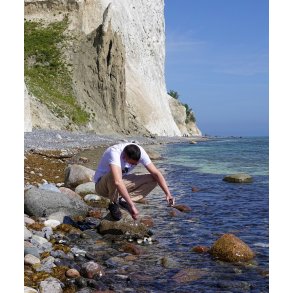 Foto - Plakatprint (30x30 cm)