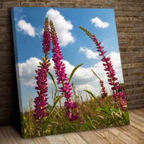 Foto p lrred med lrredsstruktur 20x20 cm