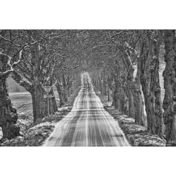 Hvdingsgaard All