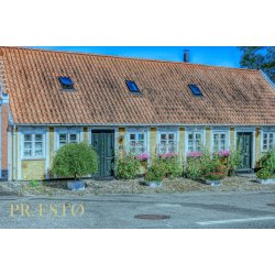 Toldboden Prst - Prst Plakat