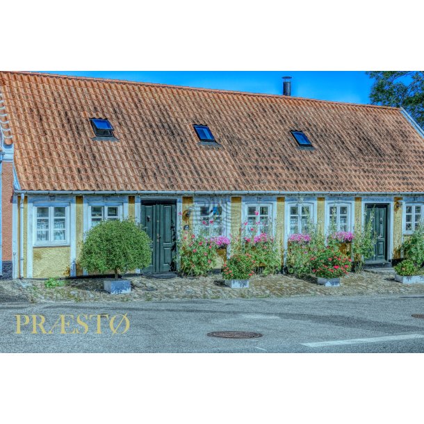 Toldboden Prst - Prst Plakat