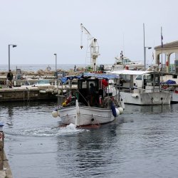 Foto print - (13x18 cm)