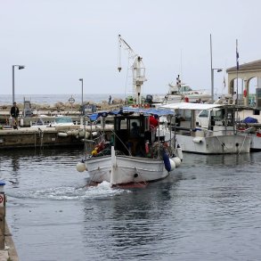 Foto print - (13x18 cm)