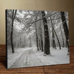 Foto p lrred med lrredsstruktur 30x90 cm