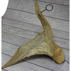 Flaskeholder med prop - 300 r gammelt Egetr