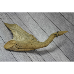 Flaskeholder med prop - 300 r gammelt Egetr